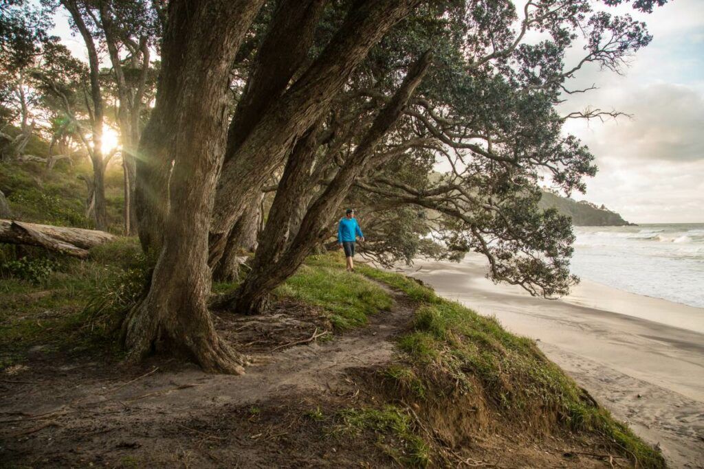 The Top 50 North Island Walks