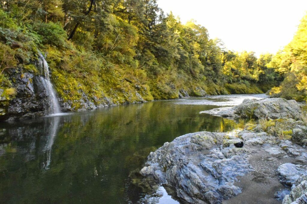 20 Best Short Walks on the South Island