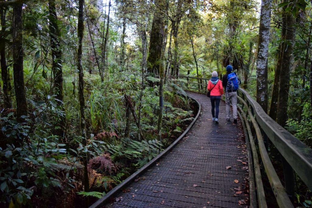 The Top 50 North Island Walks