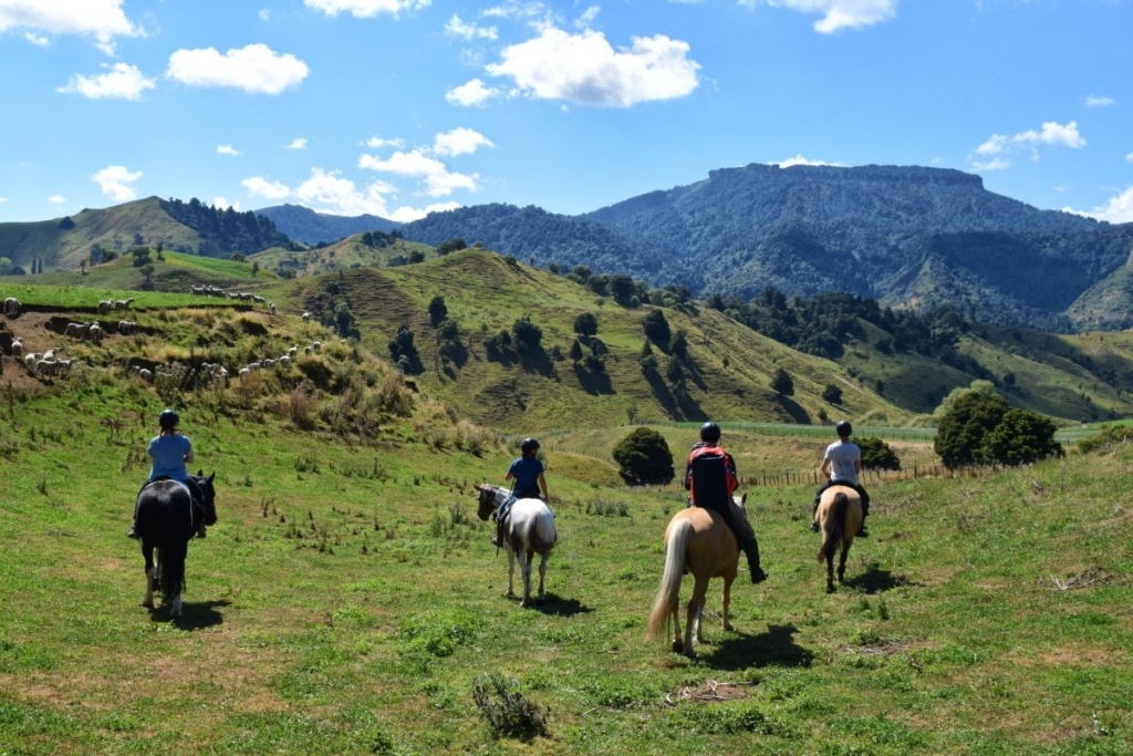 10 Most Secret Places in New Zealand