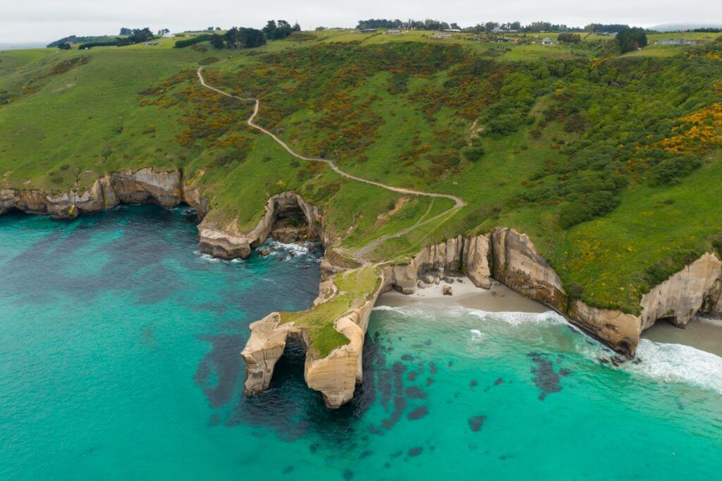 20 Best Short Walks on the South Island