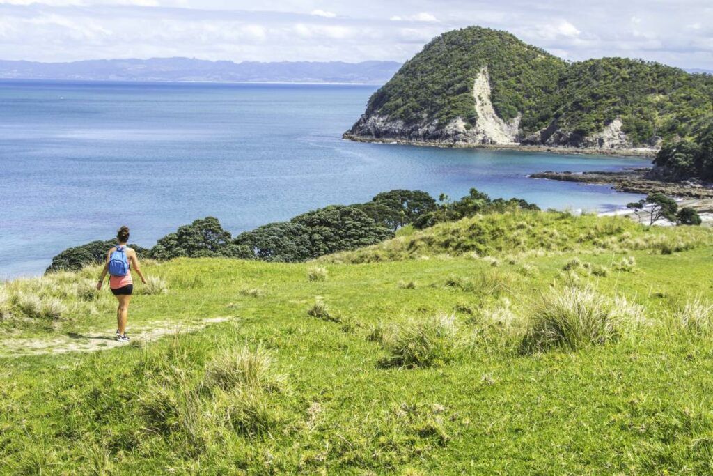 The Top 50 North Island Walks