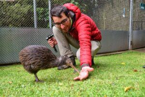 10 Activities Under $10 in New Zealand