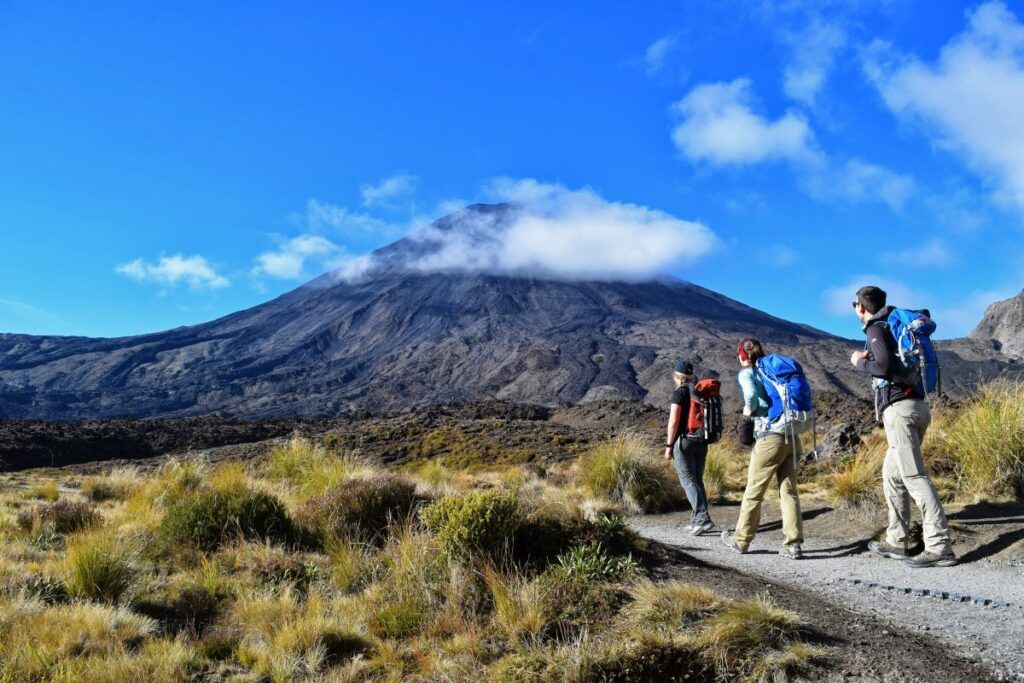 The Top 50 North Island Walks