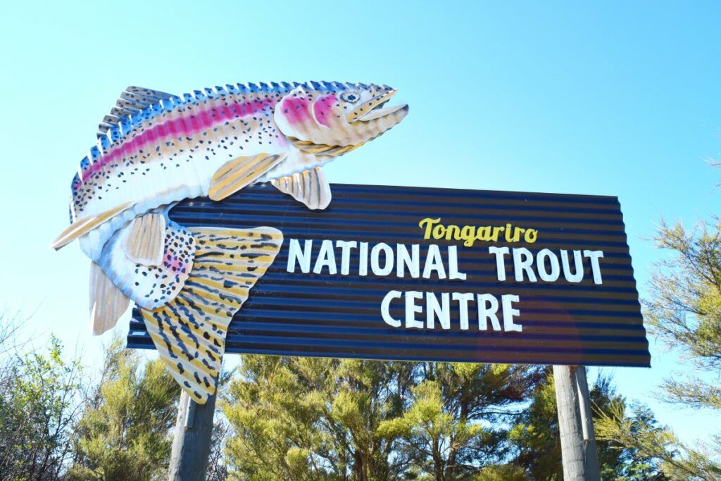 10 Unique & Unusual Things to Do on the North Island