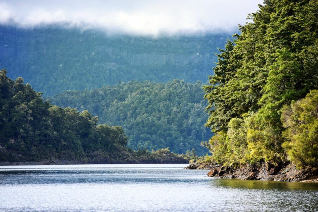 The Top 50 North Island Walks