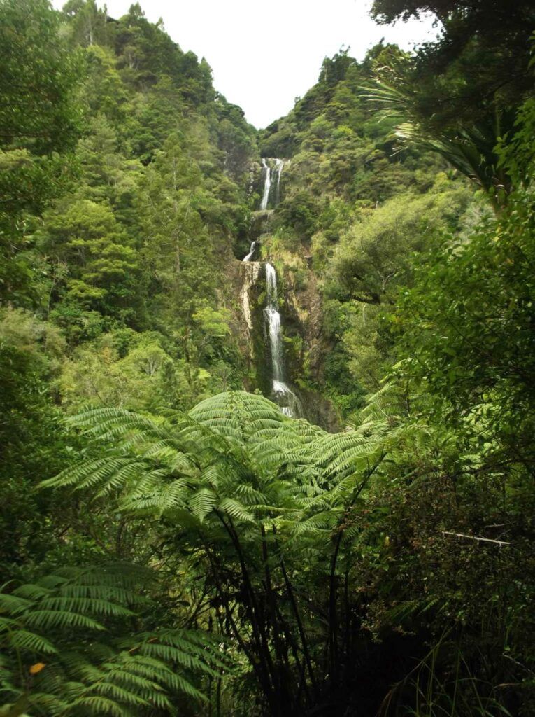 10 Best Walks in Auckland