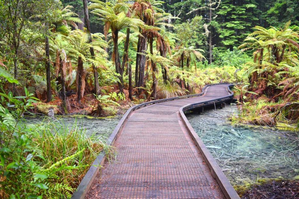 The Top 50 North Island Walks