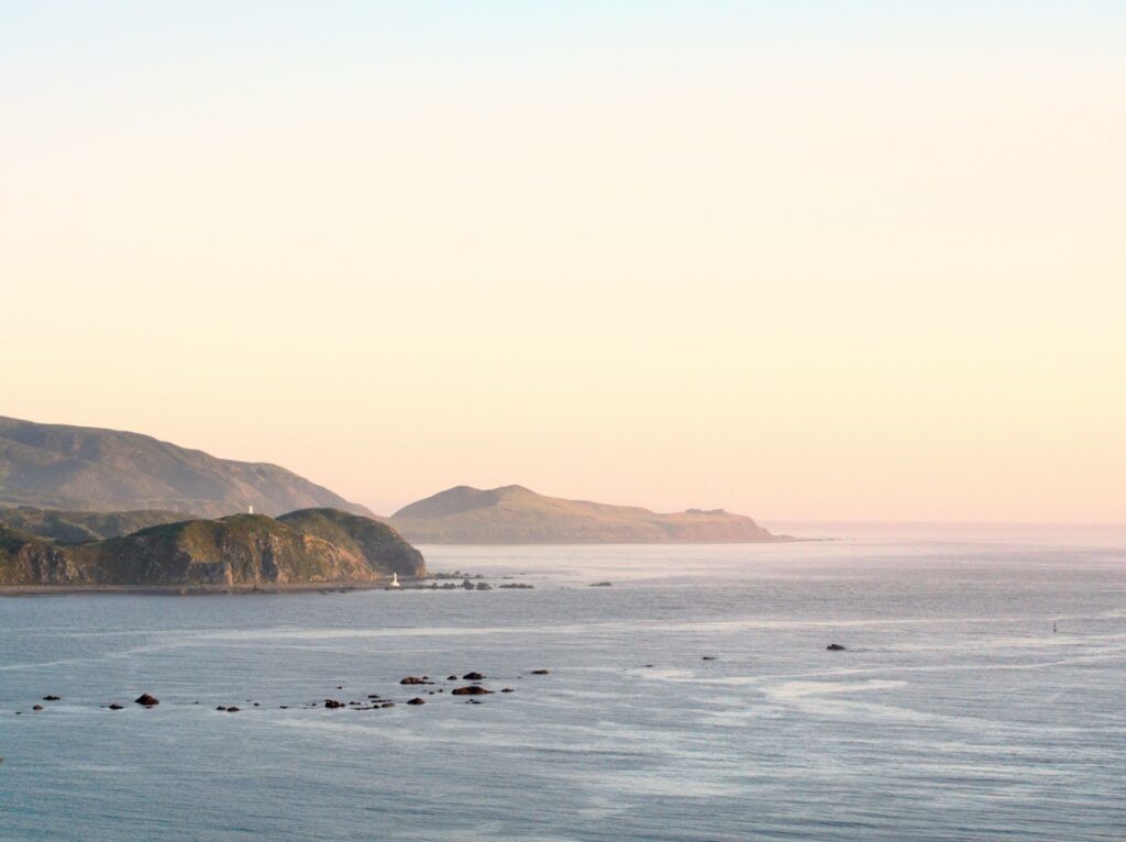 Wellington Weather & Climate: What is the Weather Like in Wellington?