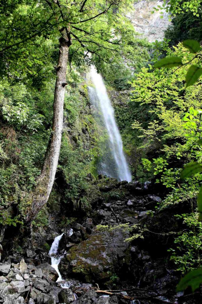 10 Best Things to Do in Nelson Lakes National Park