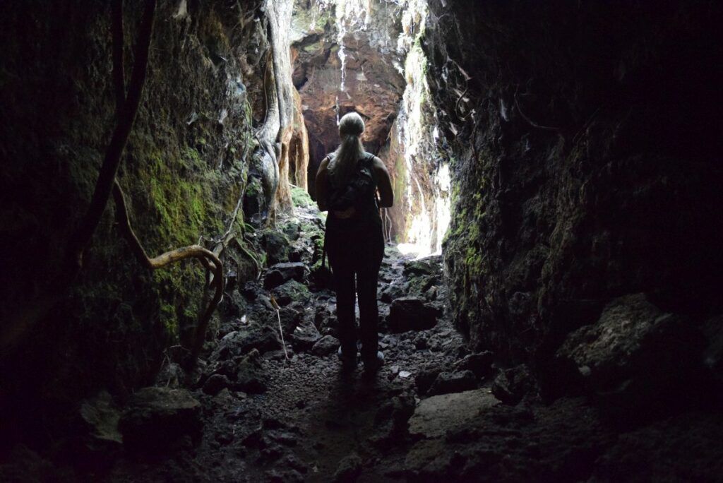 The Top 50 North Island Walks