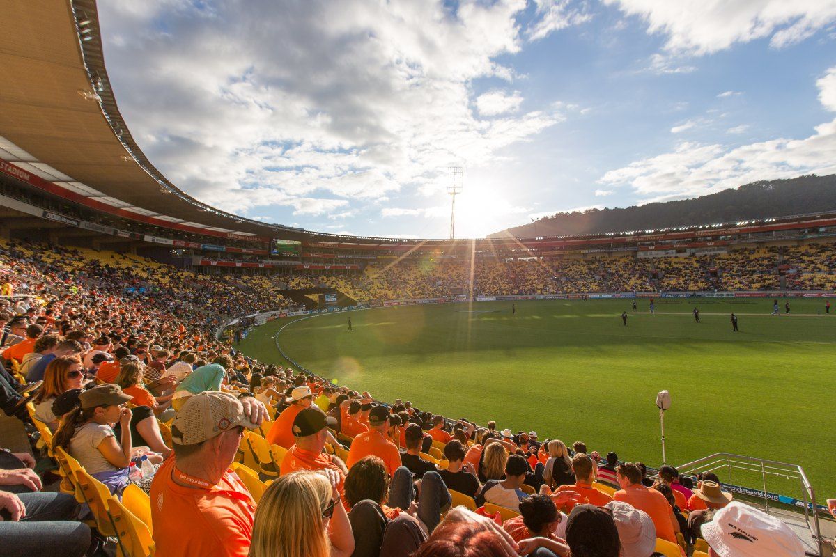 10 Non-Touristy Things to Do in Wellington