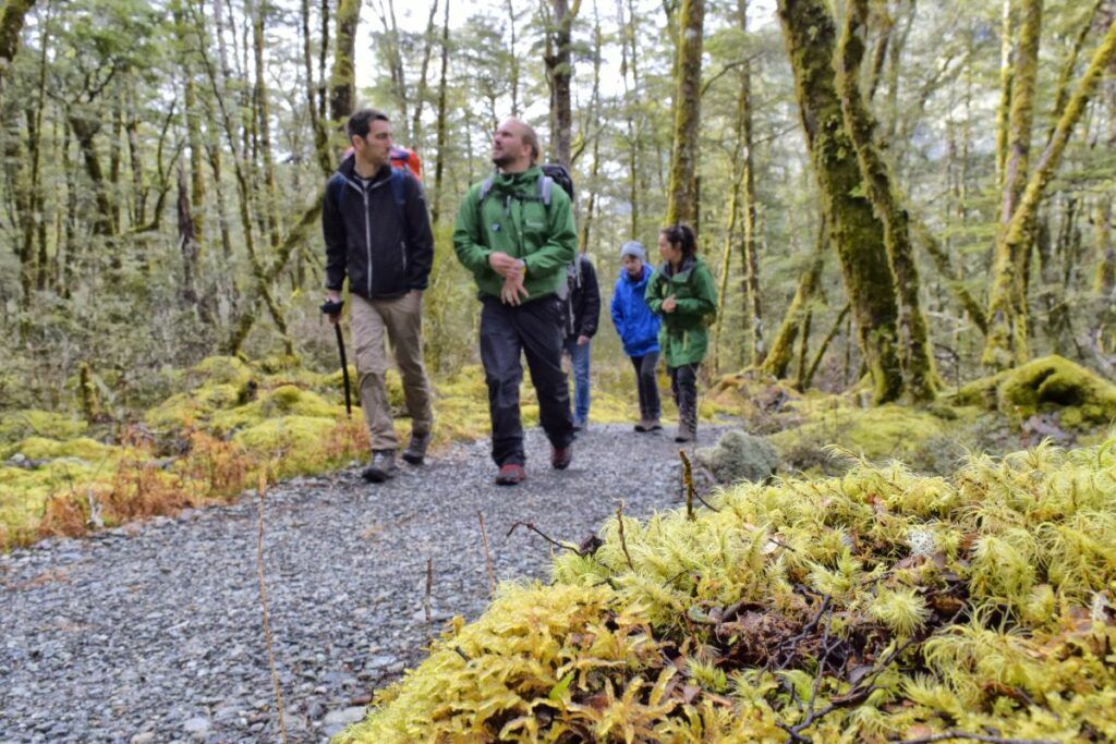 10 Best Things to Do in Glenorchy