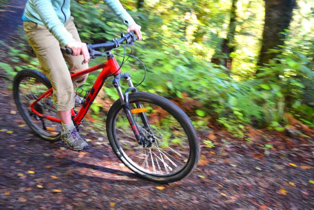 10 Best Things to Do in Nelson Lakes National Park