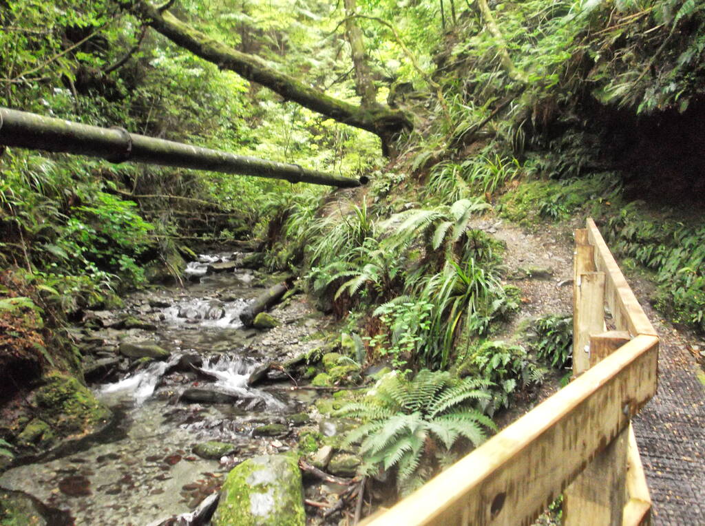 10 Best Walks in Queenstown