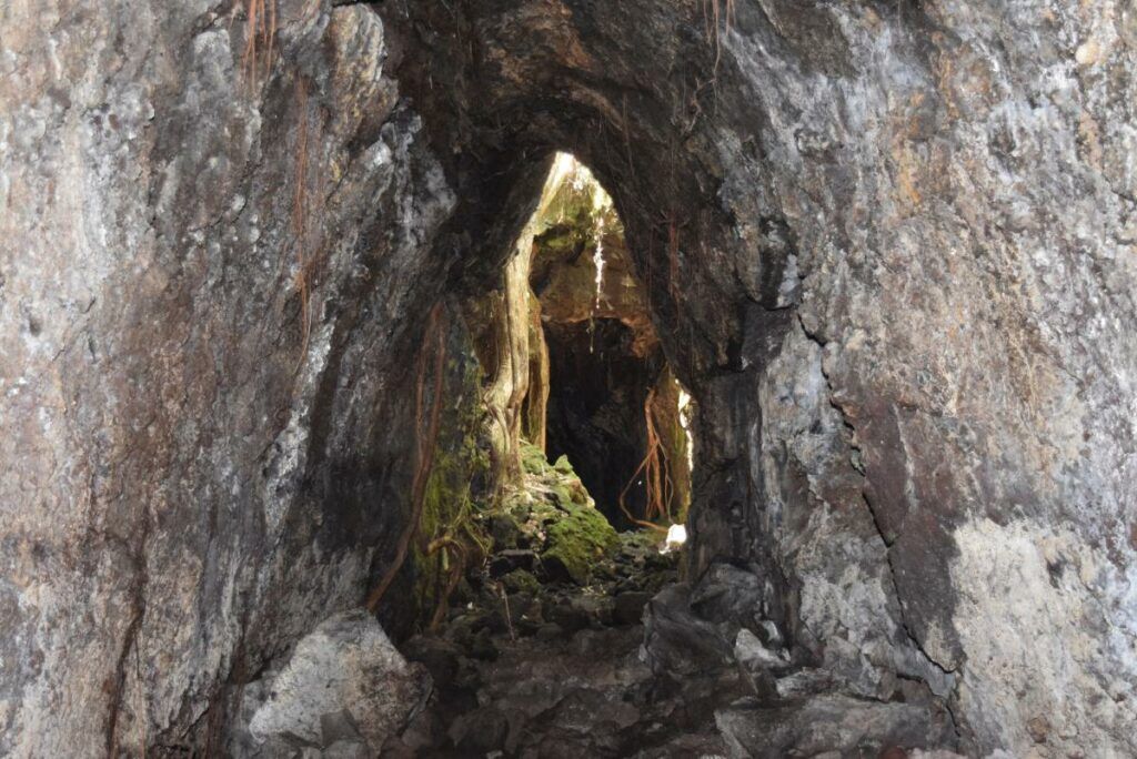 50 Best Things to Do in New Zealand with Kids