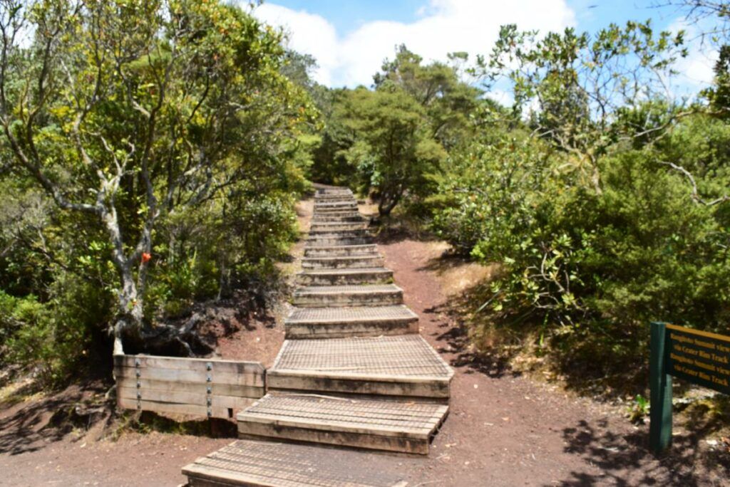 20 Best Things to Do on the North Island with Kids