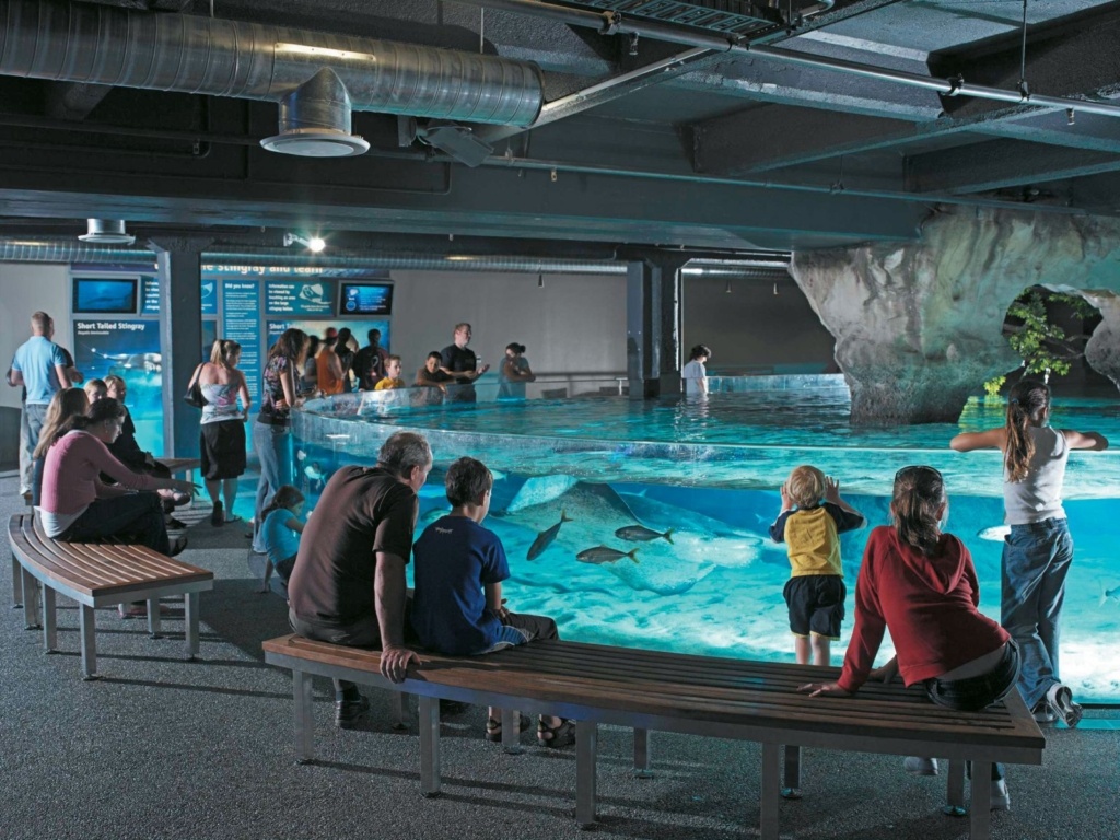 21 Things to Do in Auckland on a Rainy Day