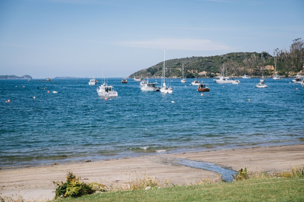10 Most Romantic Things to Do on Stewart Island for Couples
