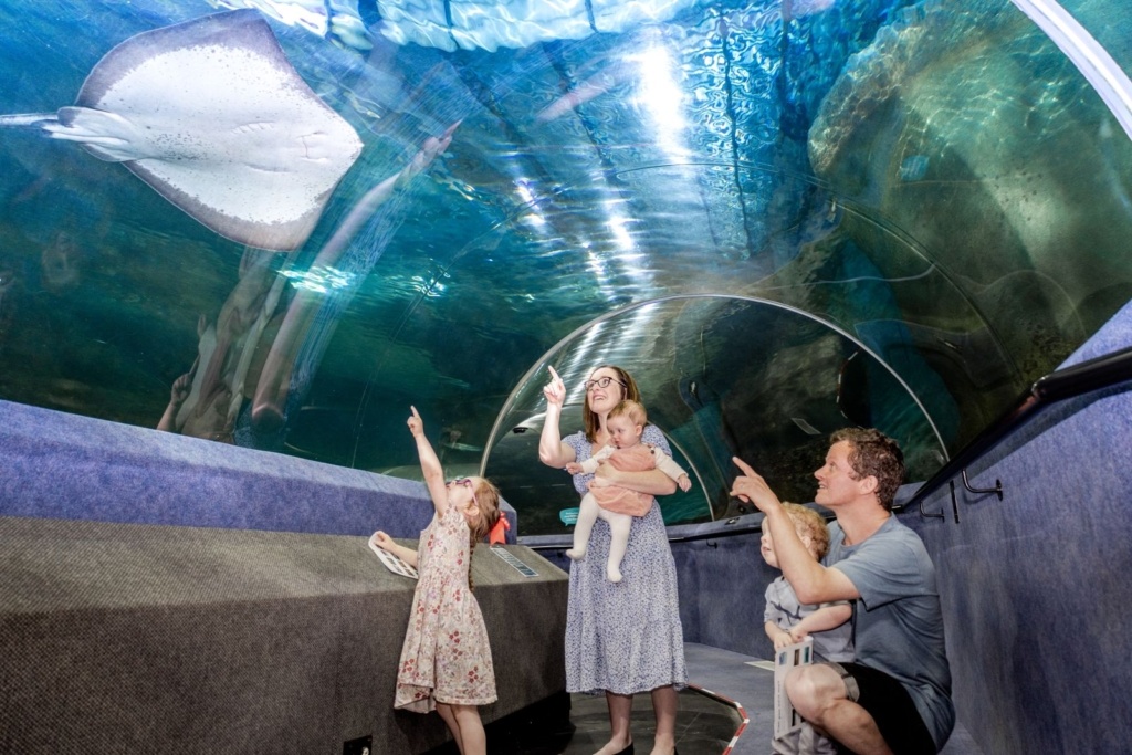 14 Things to Do in Napier on a Rainy Day ☂️ [2026]