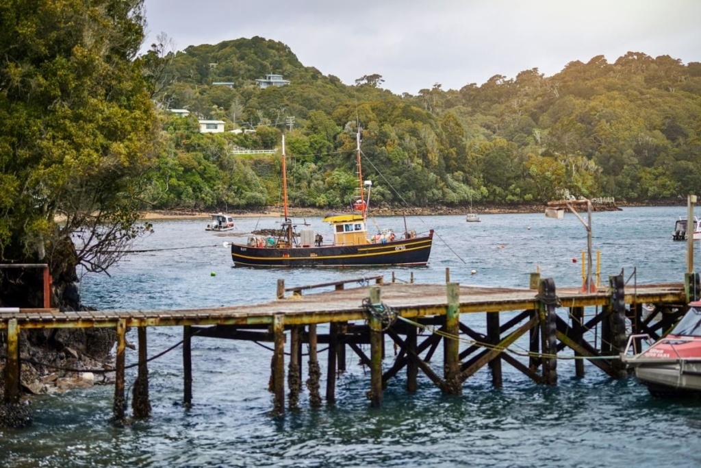 The Budget & Backpacking Guide to Stewart Island