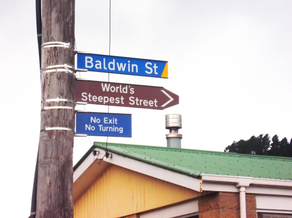 50 Best Free Things to Do in New Zealand 🤑 [2025]