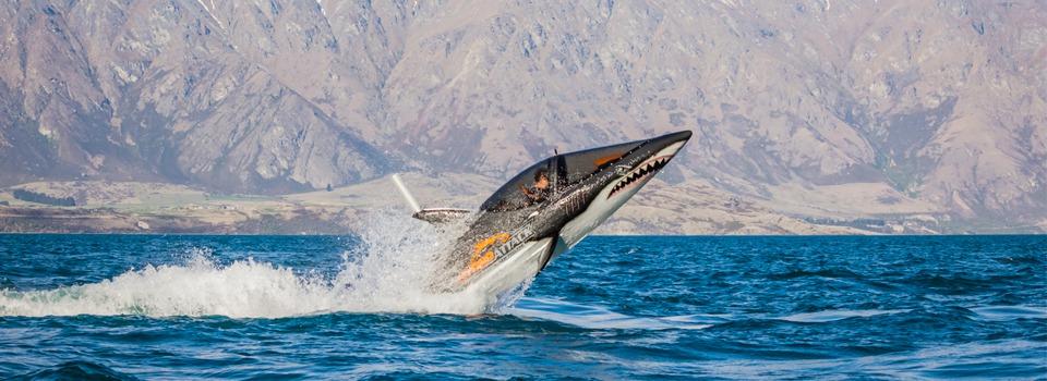 11 Things to Do in Queenstown on a Rainy Day