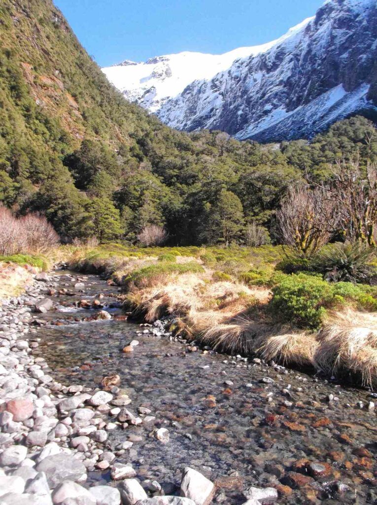 18 Stops You Can't Miss on the Road to Milford Sound