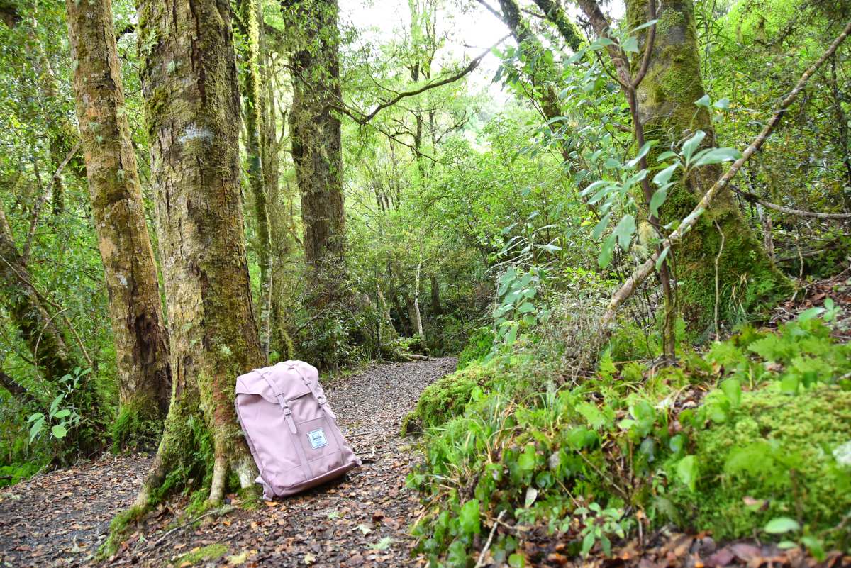 New Zealand Packing List: What to Pack for New Zealand 🥾 [2025]