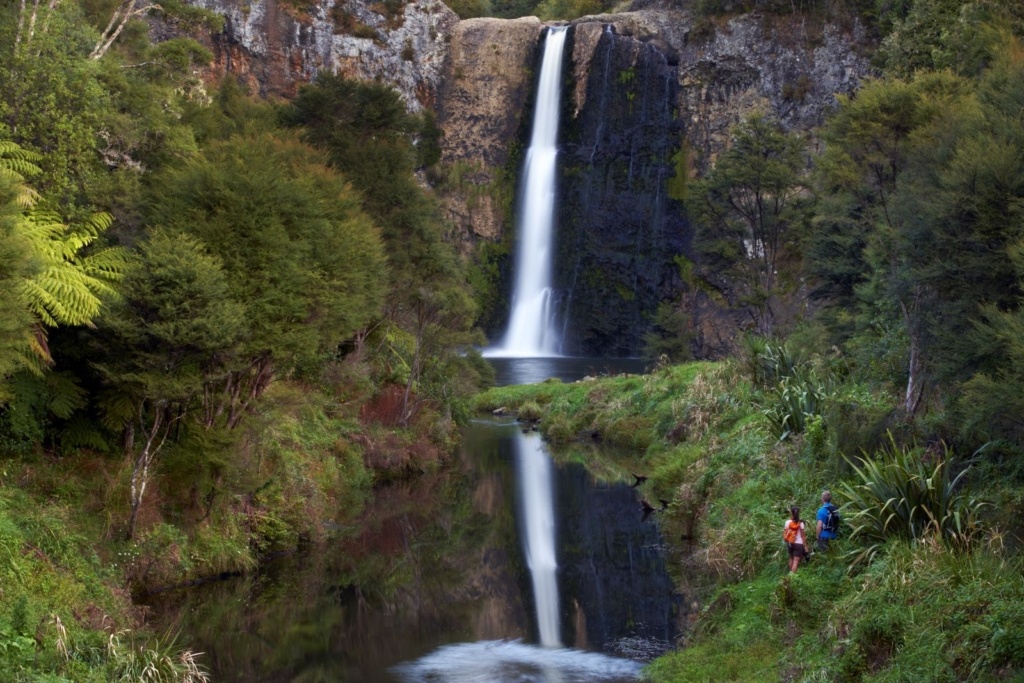 10 Best Walks in Auckland: Short Walks to Day Hikes 🥾
