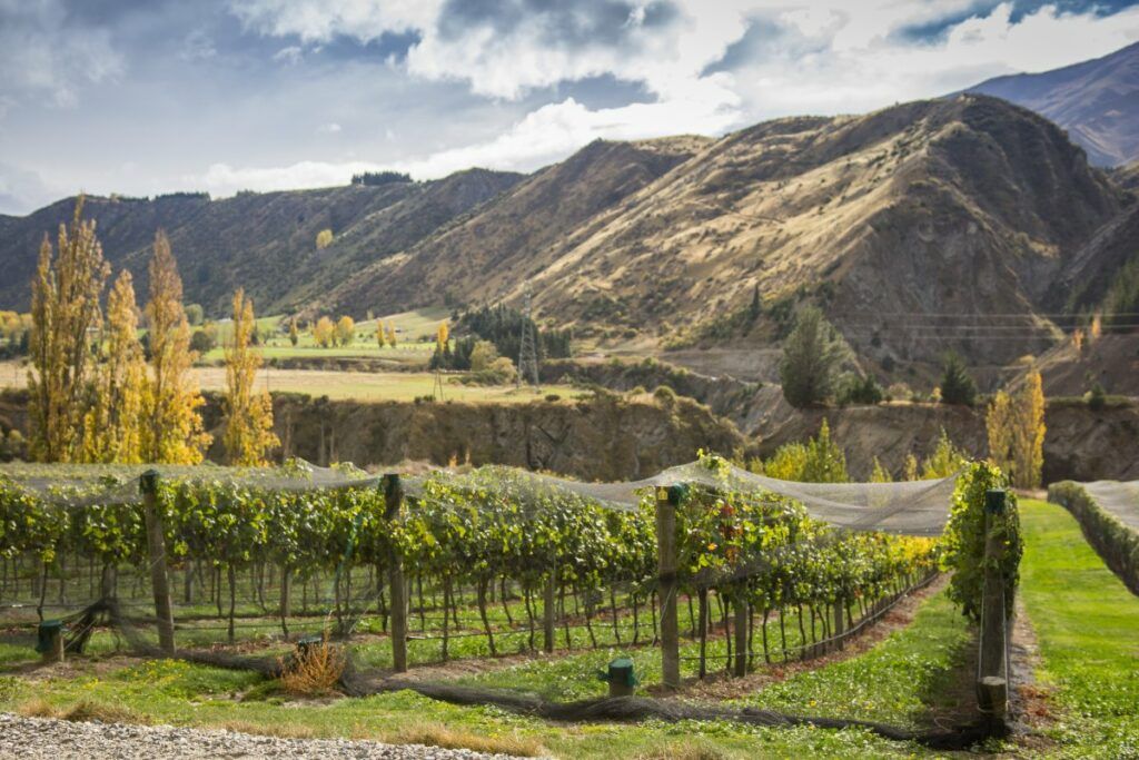 20 Most Romantic Things to Do in Queenstown for Couples