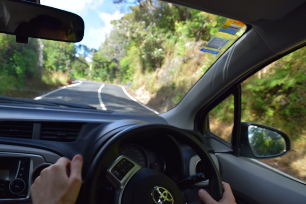 New Zealand Food Itinerary: Three Weeks / 21 Days ???? [2023]