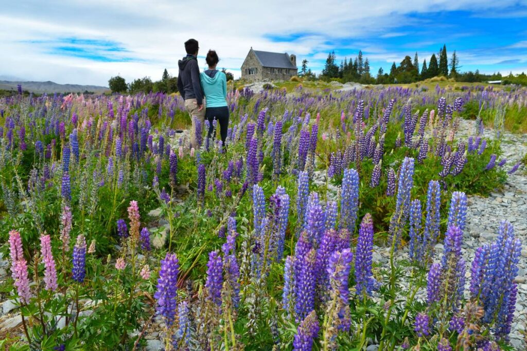 New Zealand Honeymoon & Romance Itinerary: Two Weeks / 14 Days