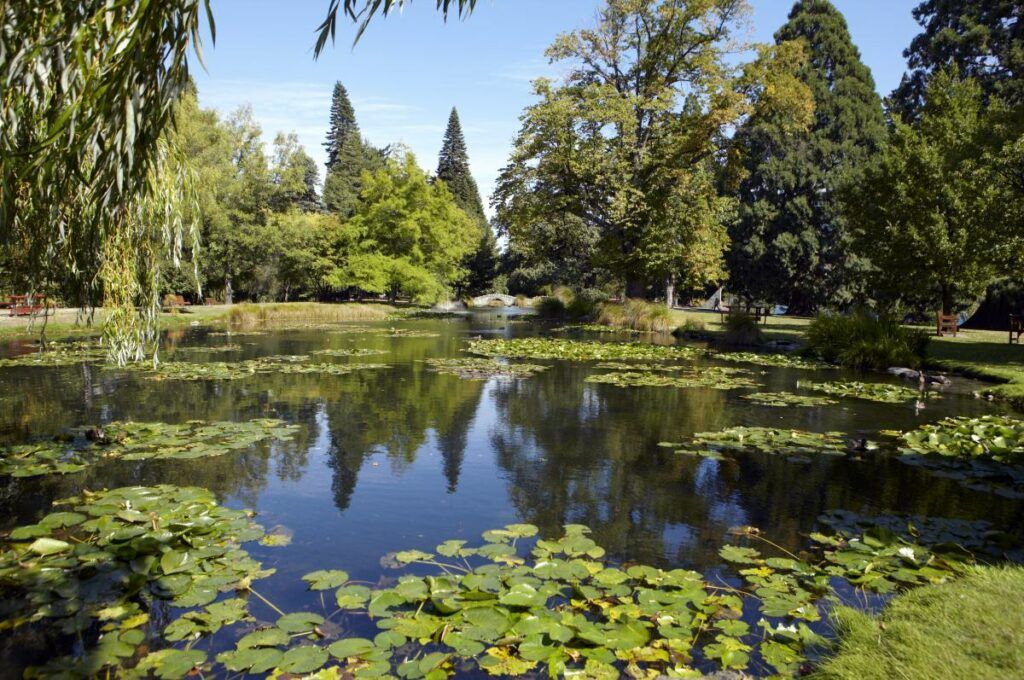20 Most Romantic Things to Do in Queenstown for Couples