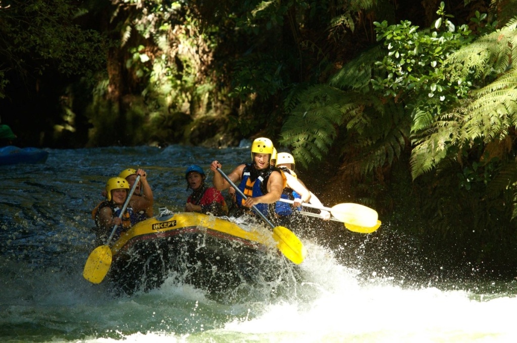 10 Best Luxury Experiences in Rotorua ♨️ [2025]