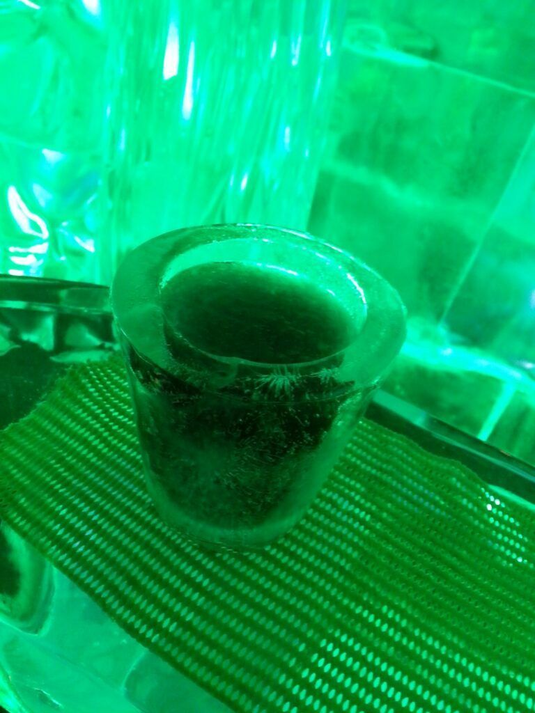 20 Free & Cheap Things to Do in Queenstown ???? [2023]