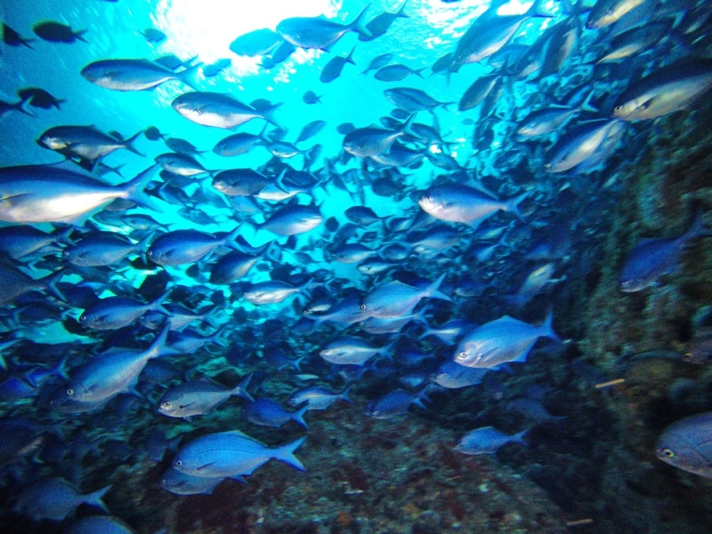 31 Ways to Travel More Sustainably in New Zealand