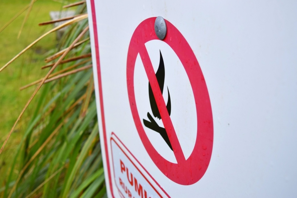 31 Ways to Travel More Sustainably in New Zealand