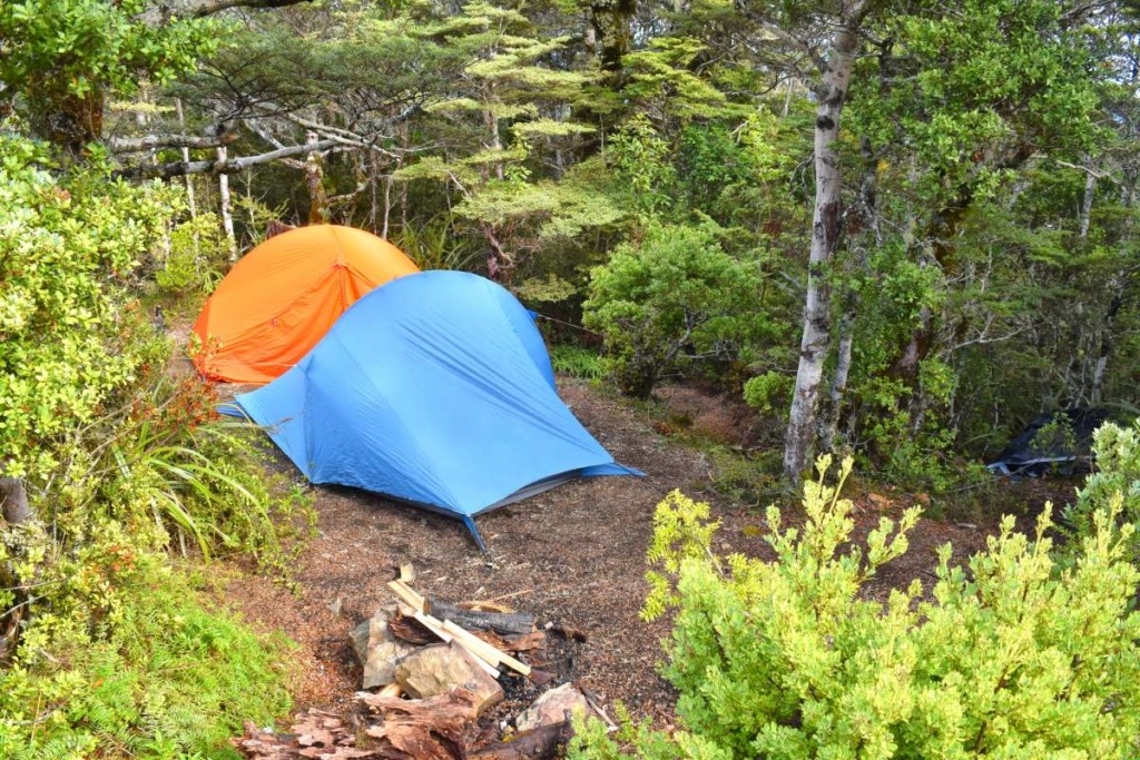 31 Ways to Travel More Sustainably in New Zealand