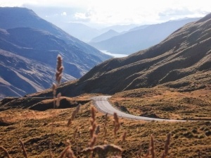 Travel By Car: How to Plan a Road Trip in New Zealand ???? [2025]