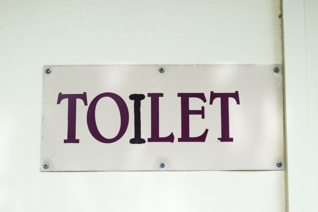 15 New Zealand Bus Tour Tips for First-Timers ????