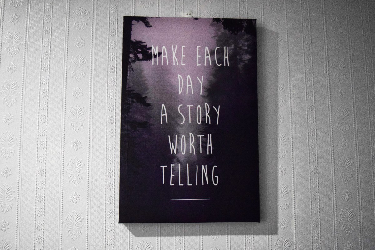 15 New Zealand Bus Tour Tips for First-Timers ????