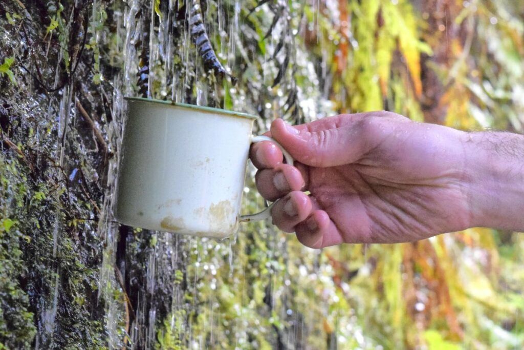 New Zealand Safety Tips for Hazards & Dangers: Is New Zealand Safe?