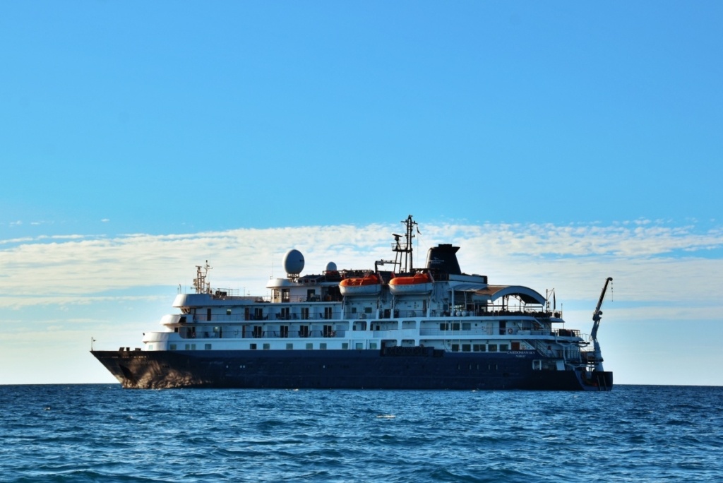 10 Things You Need to Know About the NZeTA [2025]