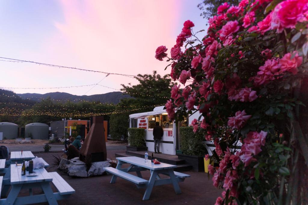 10 BEST Hostels on the South Island, New Zealand ???? [2023]