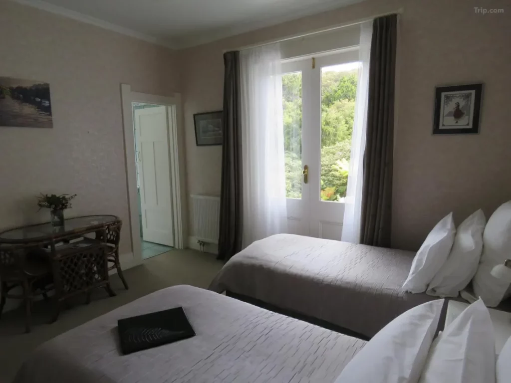 8 BEST Boutique Accommodations & B&Bs on Stewart Island 🥐 [2025]