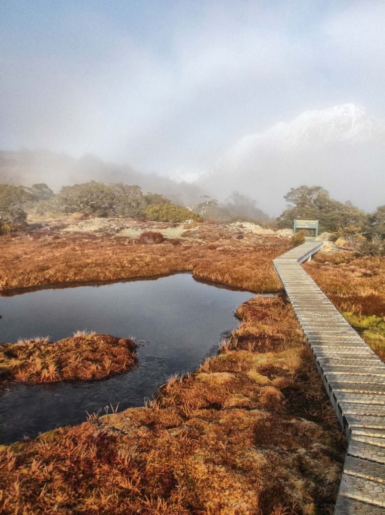 A Guide to the NZ Great Walks: Best Walks, Packing, Map Apps & More
