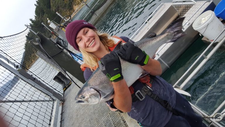 What is the Cost of a Working Holiday in New Zealand?