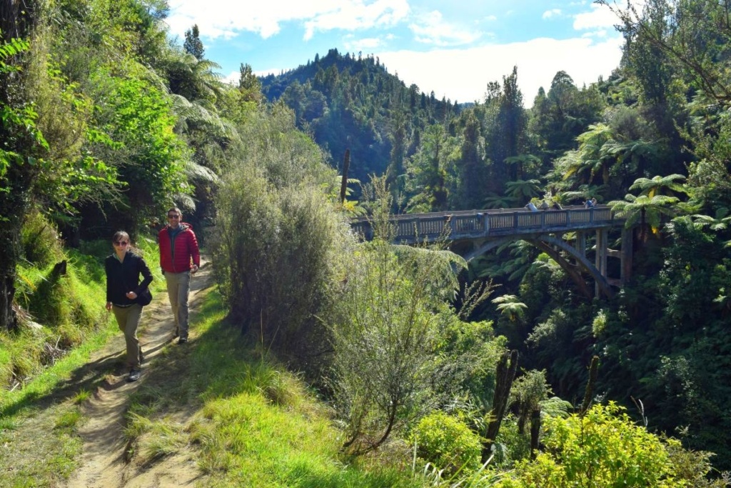 101 Things to Do in New Zealand: The Ultimate List 🏔️ [2025]