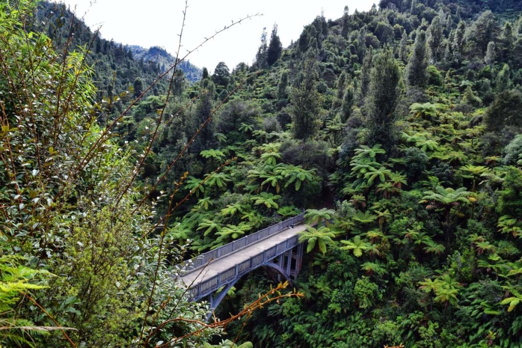 51 Best Things to Do on the North Island 🔥 [2025]